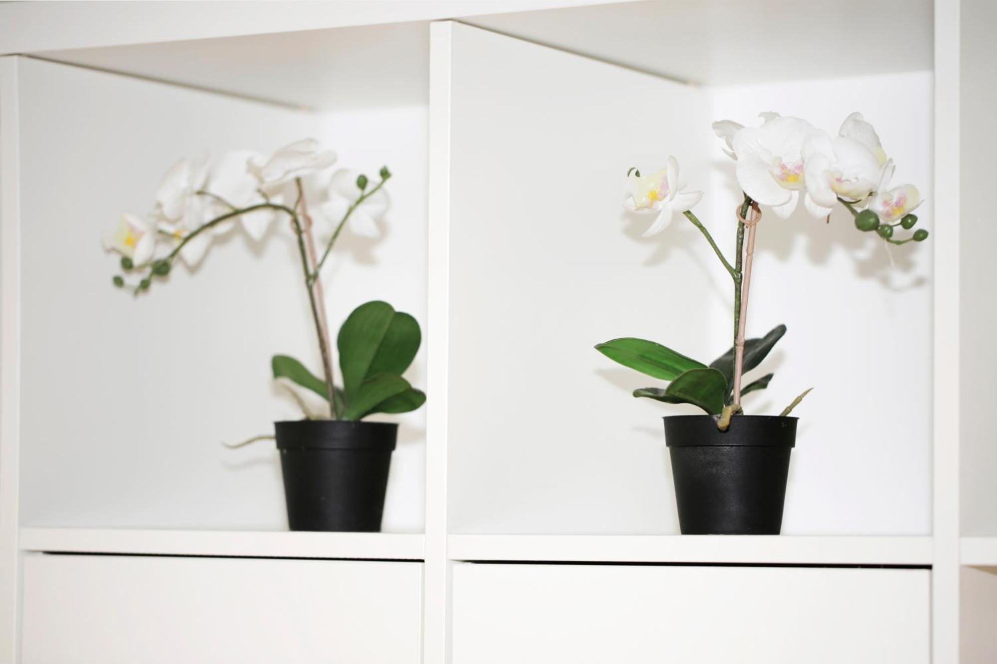 Bellavita Loft Milano Center Near Duomo,Central Station, Navigli Екстериор снимка
